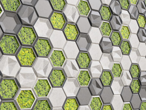 stone panels and stabilized moss 3D 모델