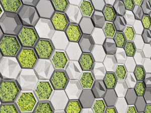 stone panels and stabilized moss 3D Model