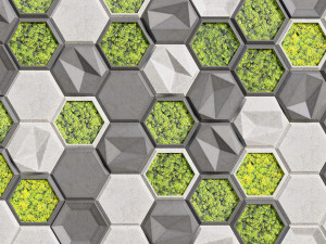stone panels and stabilized moss 3D 모델