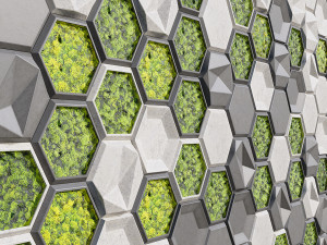 stone panels and stabilized moss 3D 모델