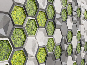 stone panels and stabilized moss 3D Model