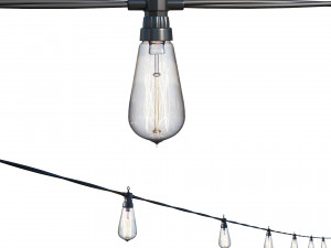 string lights edison lamps 3D Model
