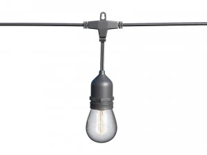 string lights edison lamps 3D Model