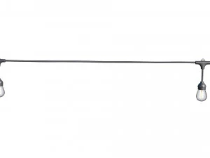 luzes de corda l&acirc;mpadas edison Modelo 3D