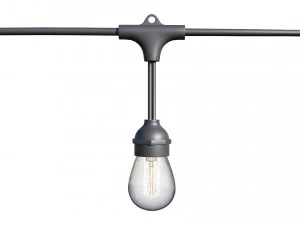 luzes de corda l&acirc;mpadas edison Modelo 3D
