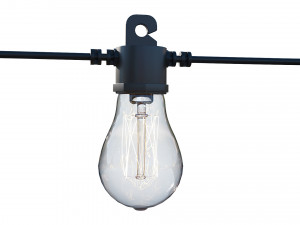 string lights edison lamps 3D Model
