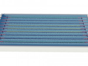 swimming pool olympic size 3D Model