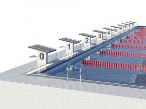 swimming pool olympic size 3D Model