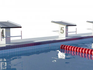 swimming pool olympic size 3D Model