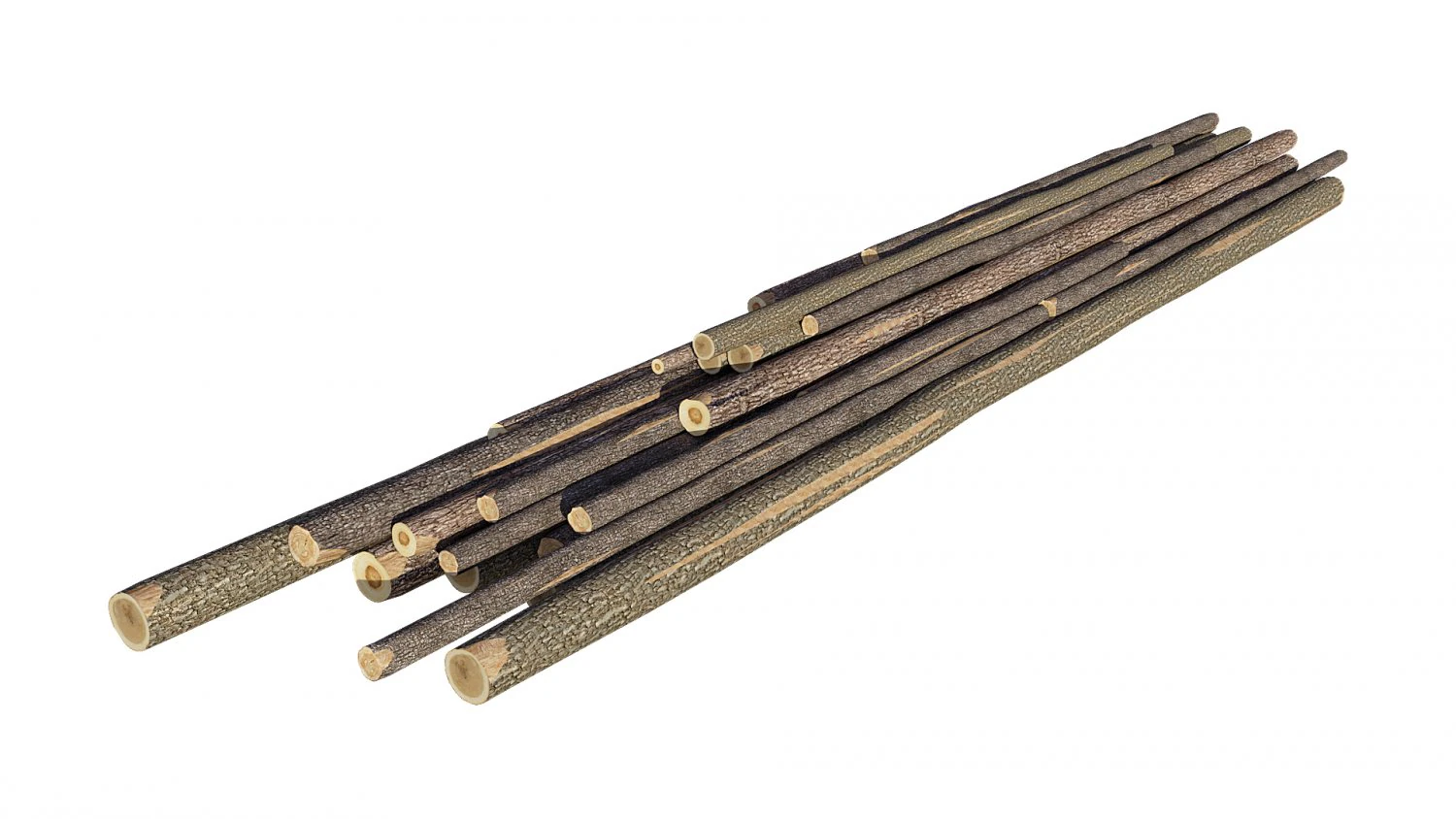 Wood Log 3D Model .c4d .max .obj .3ds .fbx .stl .blend 