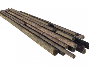 Wood Log 3D 모델