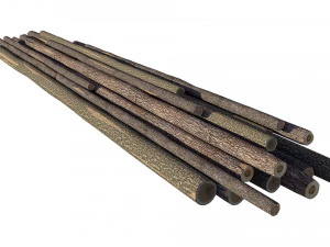 Wood Log 3D Model
