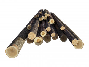 Wood Log 3D 모델
