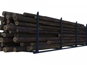 Wood Log 3D Model