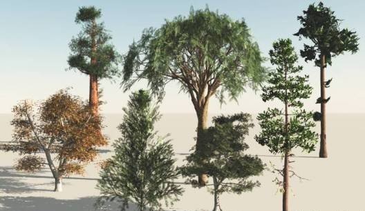 trees 3D Model .c4d .max .obj .3ds .fbx .stl .blend 