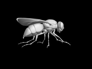 Fly insect 3Dモデル