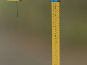 gru lowpoly Modello 3D