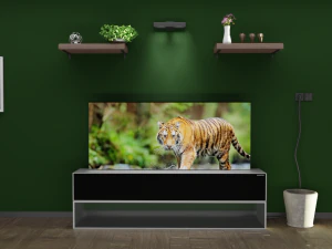 LG TV OLED R 3D Model