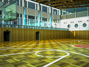 basketball gym 001 3D Model