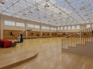 palestra di basket 006 Modello 3D