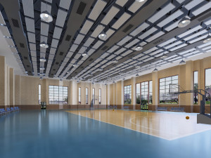 basketball gym 009 Modèle 3D