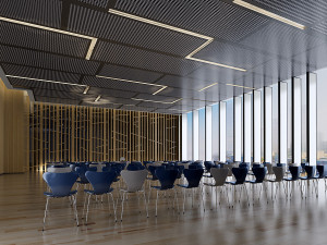 conference space 011 Model 3D