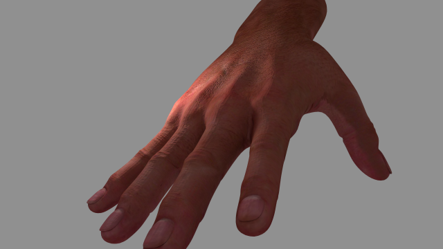 hand Model 3D .c4d .max .obj .3ds .fbx .stl .blend 