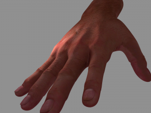 hand 3D Модель
