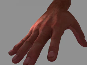 Hand 3D Modell