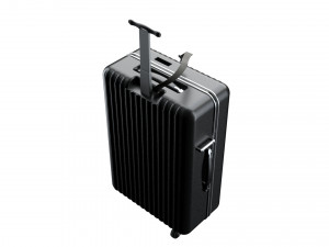suitcase 3Dモデル