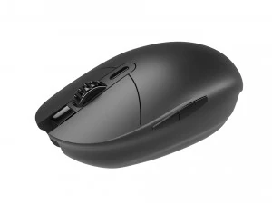 mouse Model 3D