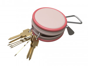 key case 3D Model