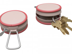 key case 3D Model
