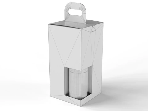 Packaging box for two bottle 135x135x265mm 3D Model