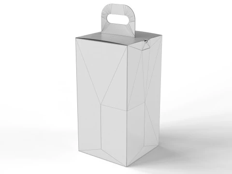 Packaging box for two bottle 135x135x265mm 3D Model