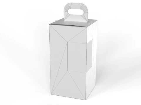 Packaging box for two bottle 135x135x265mm 3D Model
