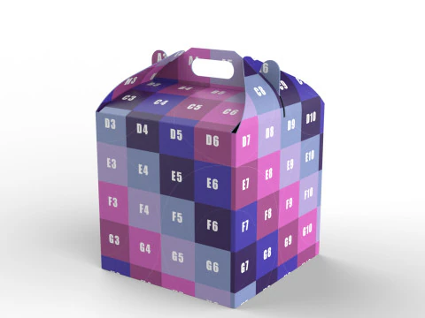 Packaging Box Carrying Handle 200x200x200mm 3D Model