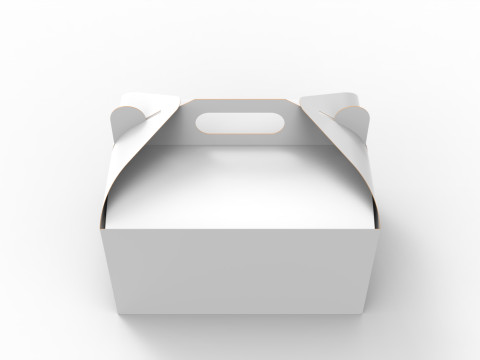 Packaging Box Carrying Handle 280x200x150mm Model 3D