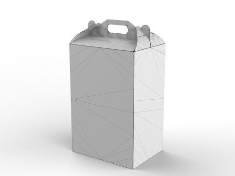 Packaging Box Carrying Handle 400x300x600mm 3D Model