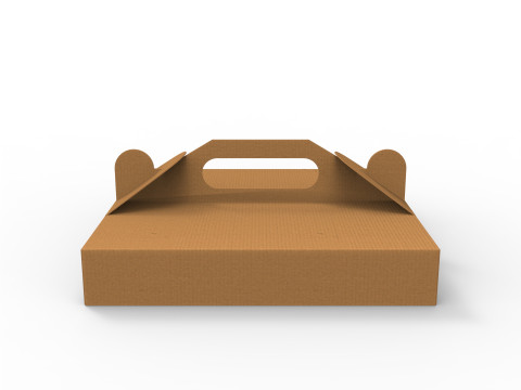 Pizza box DIMENSION OF THE BOX 300x300x50mm 3D Модель