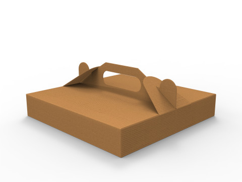 Pizza box DIMENSION OF THE BOX 300x300x50mm 3D Модель