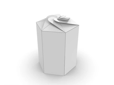 Hexagonal box packaging box 200x85x85mm 3D Model