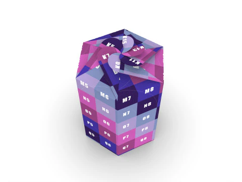 Hexagonal box packaging box 200x85x85mm 3D Model