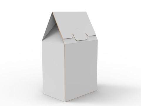Gable Top Cardboard Packaging Box 100x115x70mm Modelo 3D