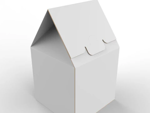 박공 상단 골판지 포장 상자 120x120x80mm 3D 모델