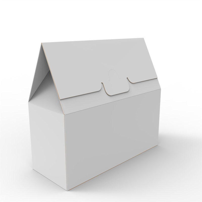 Gable Top Cardboard Packaging Box 200x100x80mm 3D Модель .c4d .max .obj .3ds .fbx .stl .blend 