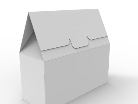 Gable Top Cardboard Packaging Box 200x100x80mm Modelo 3D