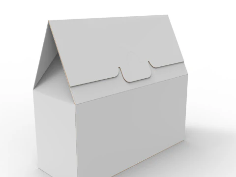 박공 상단 골판지 포장 상자 200x100x80mm 3D 모델