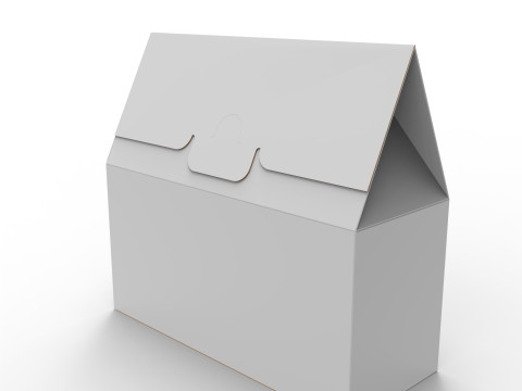 Gable Top Cardboard Packaging Box 200x100x80mm 3D Модель