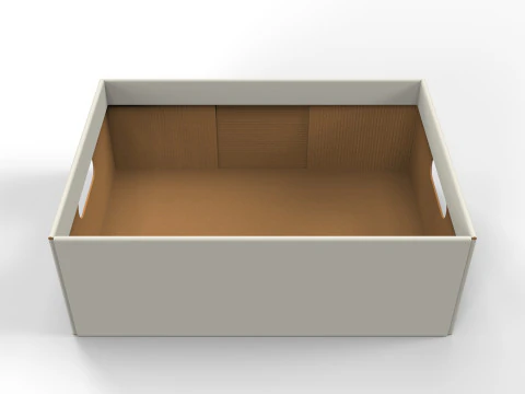 Cardboard Retail Display Tray for Product Packaging Merchandise 3D Model